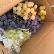 ヒメ日記 2025/10/04 19:19 投稿 高山みな お姉さんLABO -艶-