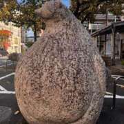 ヒメ日記 2025/11/22 12:20 投稿 高山みな お姉さんLABO -艶-