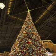 ヒメ日記 2025/12/19 22:29 投稿 高山みな お姉さんLABO -艶-