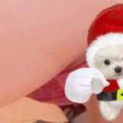 ヒメ日記 2025/12/24 17:08 投稿 高山みな お姉さんLABO -艶-