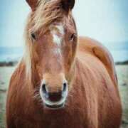 ヒメ日記 2026/01/02 11:48 投稿 高山みな お姉さんLABO -艶-