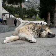 ヒメ日記 2026/02/23 08:00 投稿 高山みな お姉さんLABO -艶-