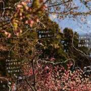 ヒメ日記 2026/04/23 10:38 投稿 高山みな お姉さんLABO -艶-