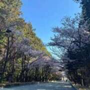 ヒメ日記 2026/04/25 08:28 投稿 高山みな お姉さんLABO -艶-