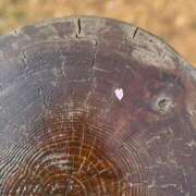 ヒメ日記 2026/05/01 00:08 投稿 高山みな お姉さんLABO -艶-