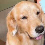 ヒメ日記 2025/10/29 20:28 投稿 稲場 ここ 絢(あや)