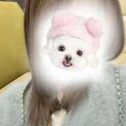 ヒメ日記 2026/03/08 14:26 投稿 稲場 ここ 絢(あや)