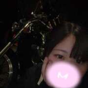 ヒメ日記 2025/10/14 07:30 投稿 みゆ 君とふわふわプリンセスin熊谷