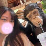 ヒメ日記 2025/10/15 10:06 投稿 みゆ 君とふわふわプリンセスin熊谷