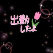 ヒメ日記 2025/04/20 11:20 投稿 チヅル 人妻生レンタル