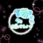 ヒメ日記 2025/06/14 07:50 投稿 チヅル 人妻生レンタル