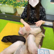 ヒメ日記 2025/05/26 15:35 投稿 めあ 美コキ手少女