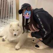 ヒメ日記 2025/08/18 00:07 投稿 めあ 美コキ手少女