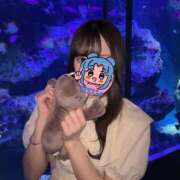 ヒメ日記 2025/08/18 15:32 投稿 めあ 美コキ手少女