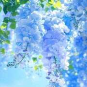 ヒメ日記 2025/05/26 08:12 投稿 なつみ おいらん遊郭