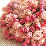 ヒメ日記 2025/07/04 08:24 投稿 なつみ おいらん遊郭