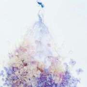 ヒメ日記 2025/08/22 12:47 投稿 なつみ おいらん遊郭