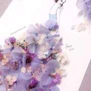 ヒメ日記 2025/09/27 16:07 投稿 なつみ おいらん遊郭