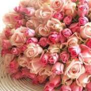 ヒメ日記 2025/10/17 16:16 投稿 なつみ おいらん遊郭