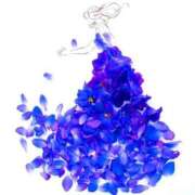 ヒメ日記 2025/11/08 20:45 投稿 なつみ おいらん遊郭