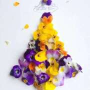 ヒメ日記 2025/11/28 12:13 投稿 なつみ おいらん遊郭