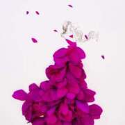 ヒメ日記 2026/04/28 07:45 投稿 なつみ おいらん遊郭