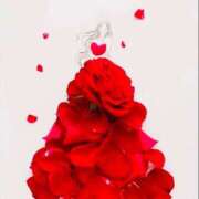 ヒメ日記 2026/04/29 21:29 投稿 なつみ おいらん遊郭