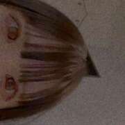 ヒメ日記 2026/04/05 15:41 投稿 みどり・SP 西川口ティアラ