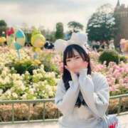 ヒメ日記 2025/03/21 11:02 投稿 つきの 極楽城(ゴクラクジョウ)