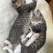 ヒメ日記 2025/05/15 22:48 投稿 こはく★UL対応 Blue Moon