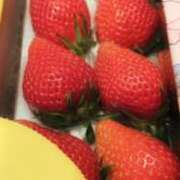 ヒメ日記 2025/03/26 09:58 投稿 くるみ 成田人妻花壇