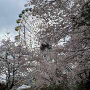 ヒメ日記 2025/04/08 11:58 投稿 よる セレブクエスト‐Kasukabe‐