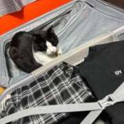 ヒメ日記 2025/05/06 10:39 投稿 よる セレブクエスト‐Kasukabe‐