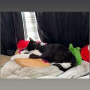 ヒメ日記 2025/05/25 10:07 投稿 よる セレブクエスト‐Kasukabe‐