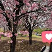 ヒメ日記 2025/04/16 21:48 投稿 よる セレブクエスト-koshigaya-