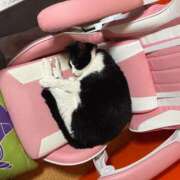 ヒメ日記 2025/09/28 12:40 投稿 よる セレブクエスト-koshigaya-