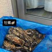 ヒメ日記 2026/03/17 11:00 投稿 よる セレブクエスト-koshigaya-