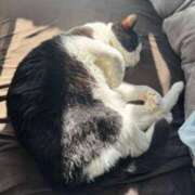 ヒメ日記 2026/03/21 23:43 投稿 よる セレブクエスト-koshigaya-