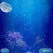 ヒメ日記 2025/06/19 14:52 投稿 せな 花火-hanabi-(すすきの)