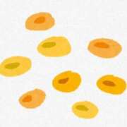 ヒメ日記 2026/02/03 03:13 投稿 せな 花火-hanabi-(すすきの)