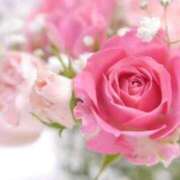 ヒメ日記 2025/08/17 09:17 投稿 新口 西船橋おかあさん