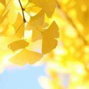 新口 今日は 西船橋おかあさん