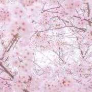 新口 おはようございます 西船橋おかあさん