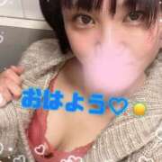 ヒメ日記 2025/04/04 06:00 投稿 近衛　にあ OLセレクション宇都宮店