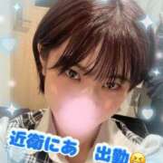 ヒメ日記 2025/04/07 06:45 投稿 近衛　にあ OLセレクション宇都宮店