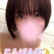 ヒメ日記 2025/04/13 21:14 投稿 近衛　にあ OLセレクション宇都宮店