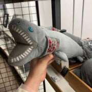 ヒメ日記 2025/04/27 18:32 投稿 近衛　にあ OLセレクション宇都宮店