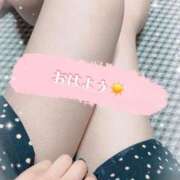 ヒメ日記 2025/04/30 05:45 投稿 近衛　にあ OLセレクション宇都宮店