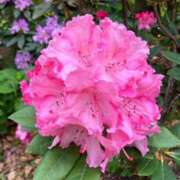 ヒメ日記 2025/05/04 21:26 投稿 近衛　にあ OLセレクション宇都宮店