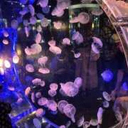 ヒメ日記 2025/05/08 01:54 投稿 近衛　にあ OLセレクション宇都宮店